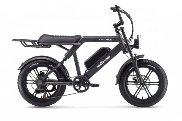 Ape Ryder Colobus Premium E-bike – Hoogwaardige Elektrische Fiets