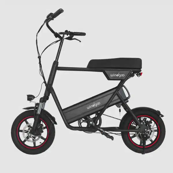 Windgoo – F1