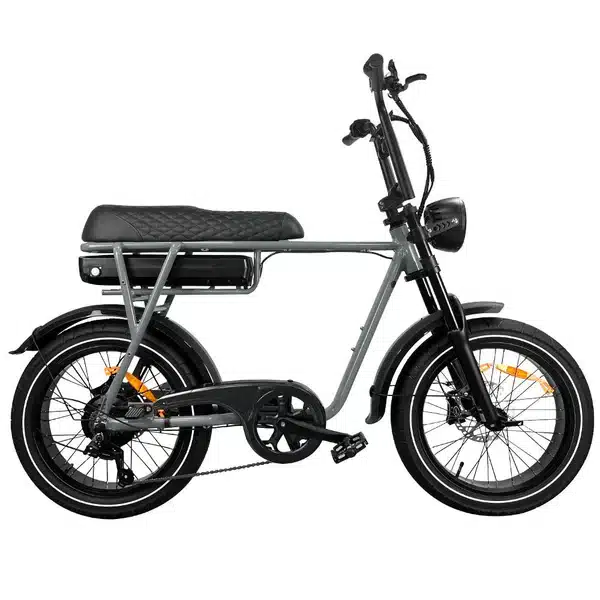 EB2 Pro – Fatbike – Grijs